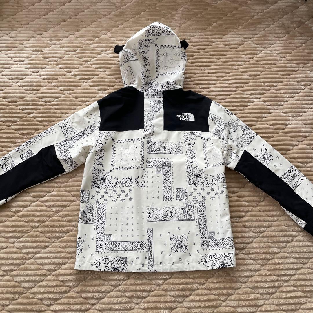 韓国限定　ノースフェイス マウンテンジャケット ゴアテックス ペイズリー　L