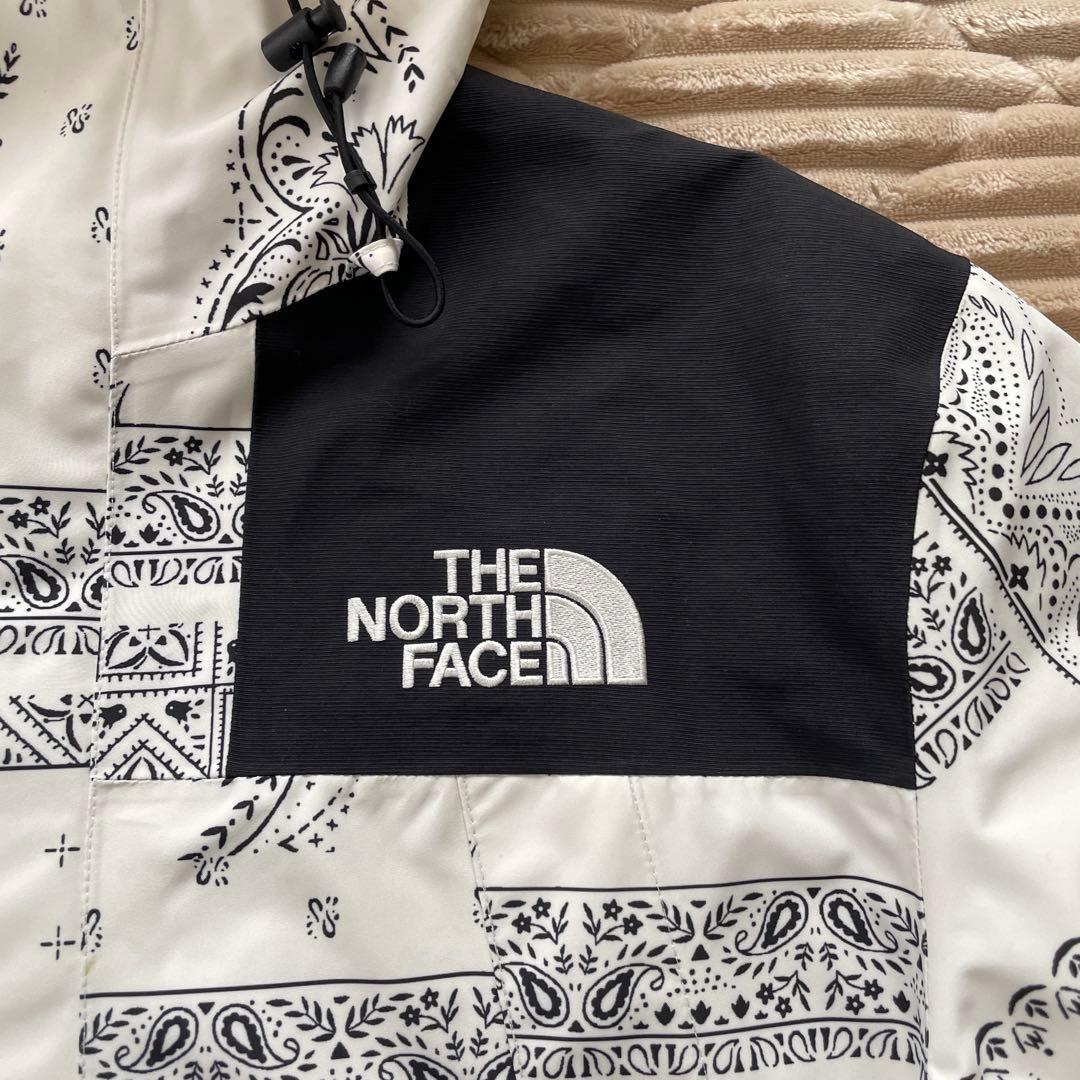 韓国限定　ノースフェイス マウンテンジャケット ゴアテックス ペイズリー　L