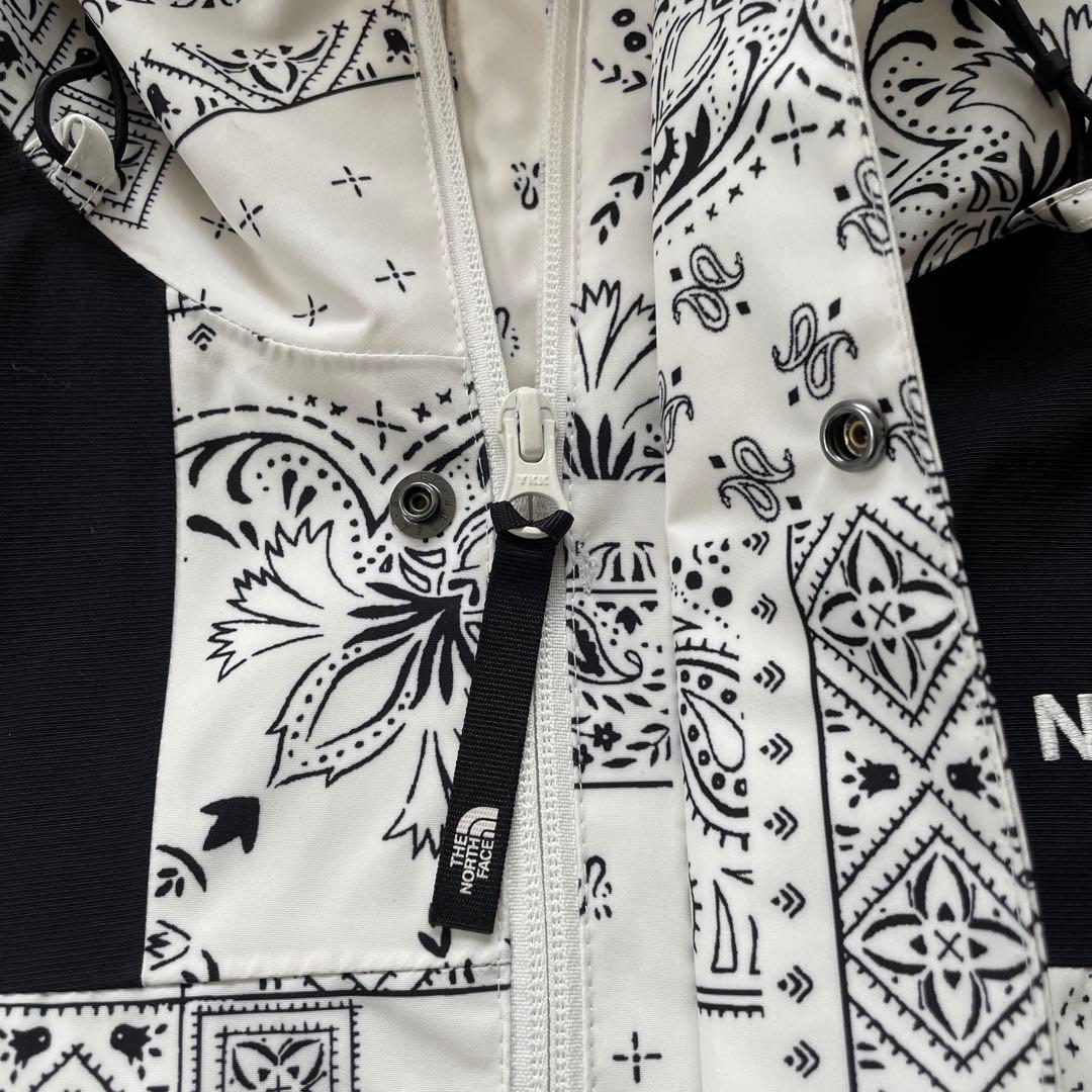 韓国限定　ノースフェイス マウンテンジャケット ゴアテックス ペイズリー　L