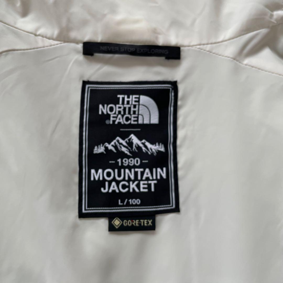 韓国限定　ノースフェイス マウンテンジャケット ゴアテックス ペイズリー　L