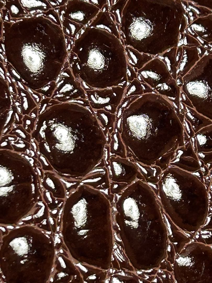 訳アリ！　GIANFRANCO FERRE ブラウン メンズバッグ