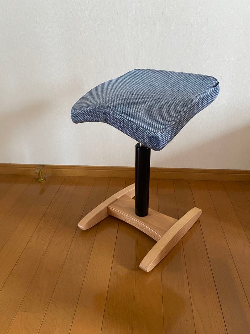 【カバー付き】バランスシナジー