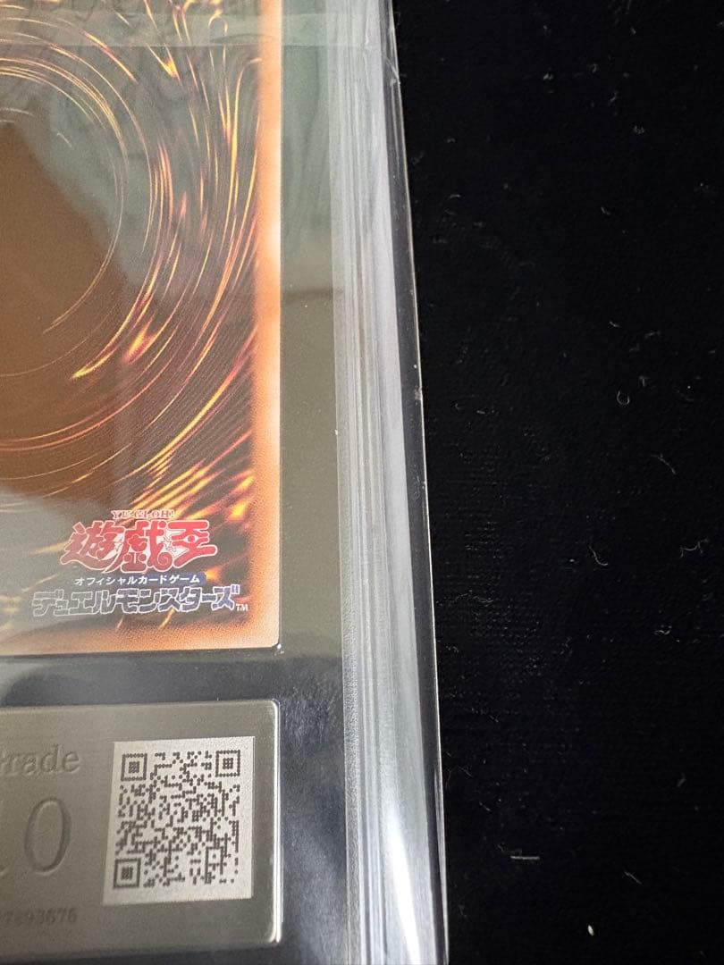 【ARS10】誇りと魂の龍 日版 25th クオシク　鑑定書付き【ほこたま】