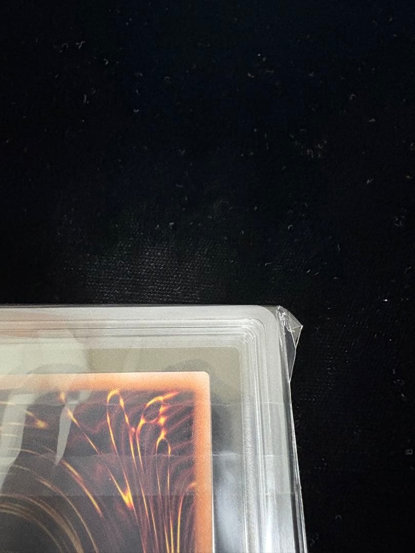 【ARS10】誇りと魂の龍 日版 25th クオシク　鑑定書付き【ほこたま】