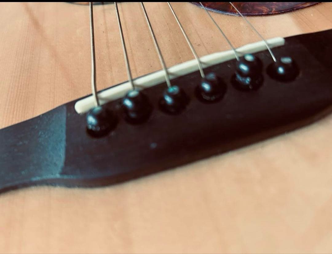 P.U、セミハードケース付き　RECORDINGKING RO-G6 used