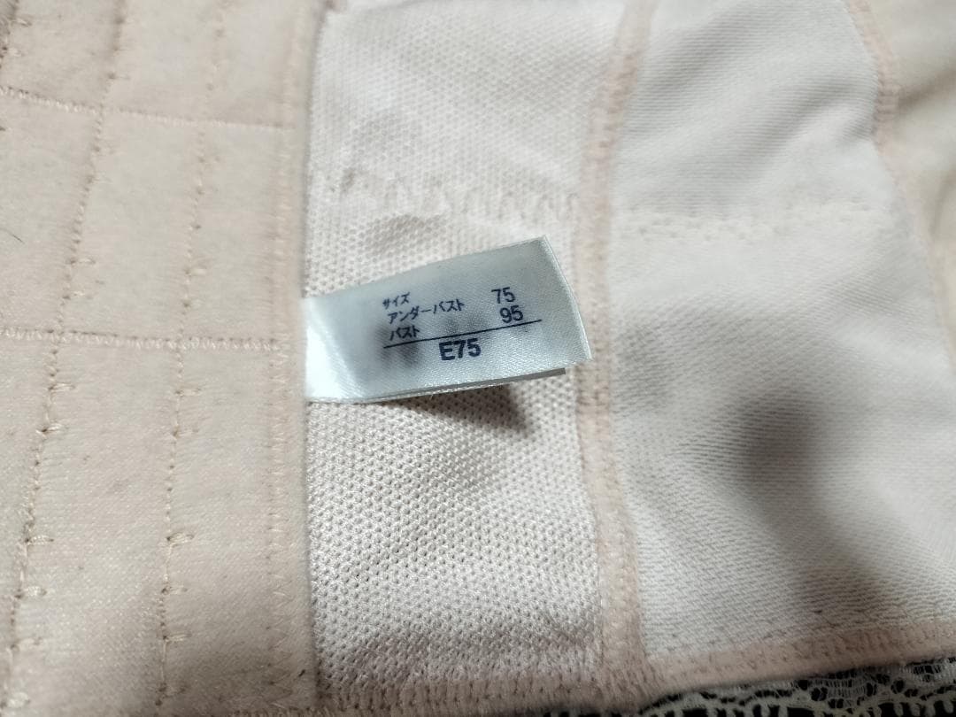 【春】マルコ　リベルディーニュ　 L-70