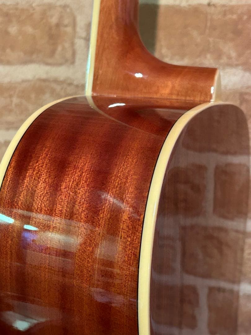 マホガニーボディーアコースティックギター