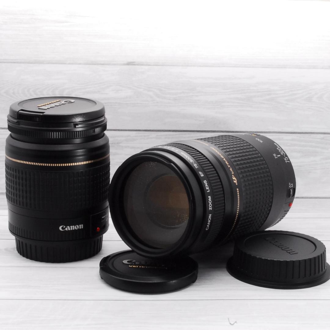 Canonレンズ2本セット EF 75-300mm Ⅱ EF 28-80mm Ⅳ
