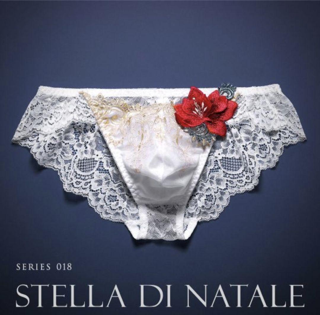 HIMICO★レースビキニ★ラスト1枚★メンズ★サイズM白