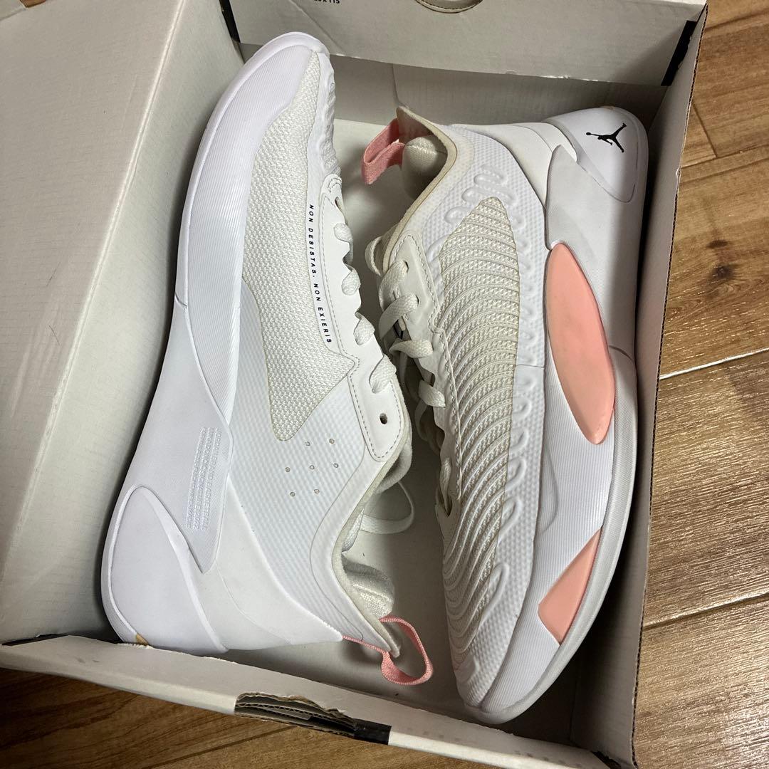 シューズ(男性用) 26cm JORDAN LUKA 1