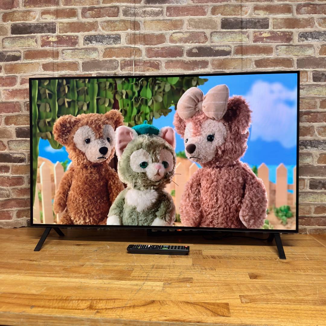 LG 55インチ 4K 有機ELテレビ OLED55A2PJA 動画アプリ搭載