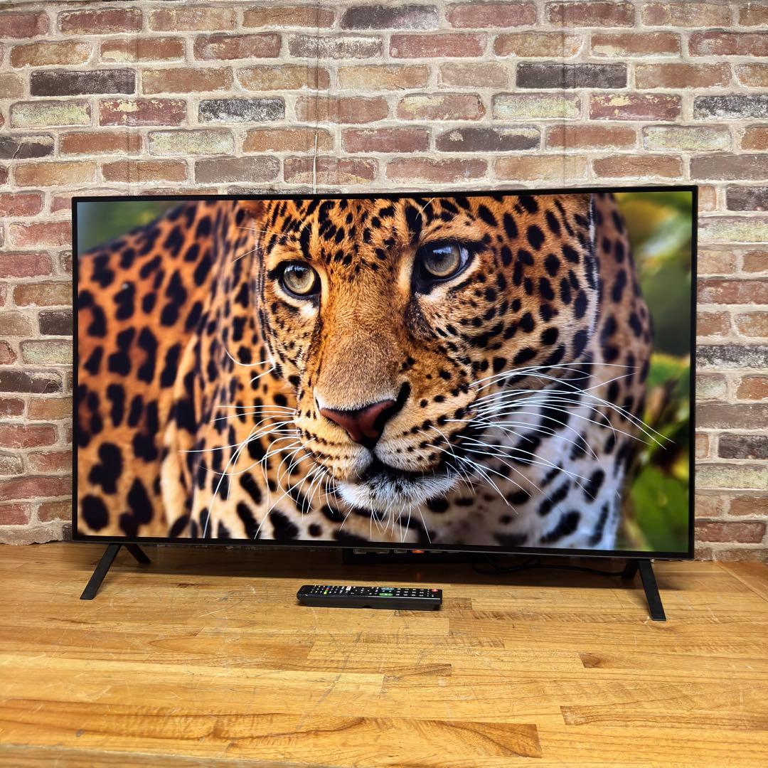 LG 55インチ 4K 有機ELテレビ OLED55A2PJA 動画アプリ搭載