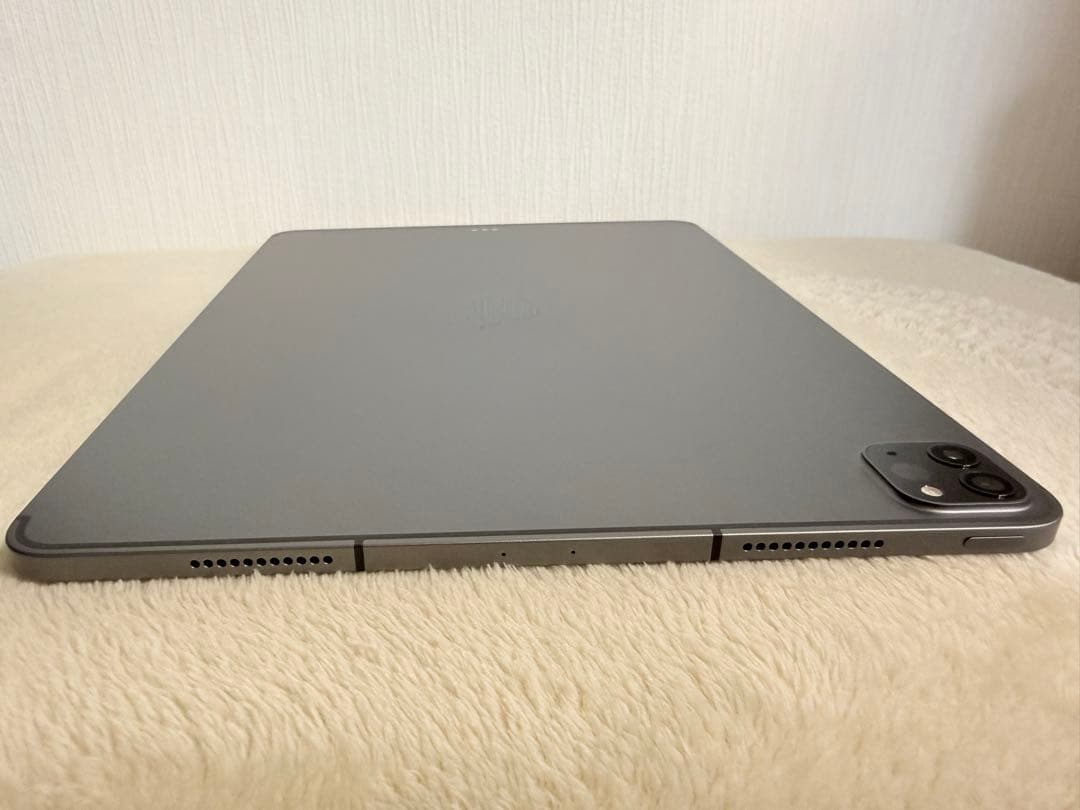 【美品】iPad Pro 12.9 第5世代 256GB セルラー M1