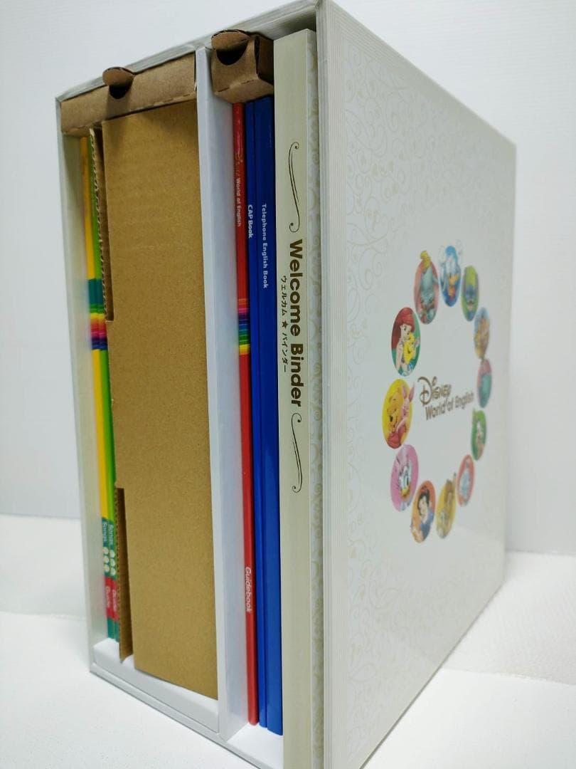 【お年玉セール5千円引 ほぼ未使用未開封】2024年最新版 シングアロングDWE