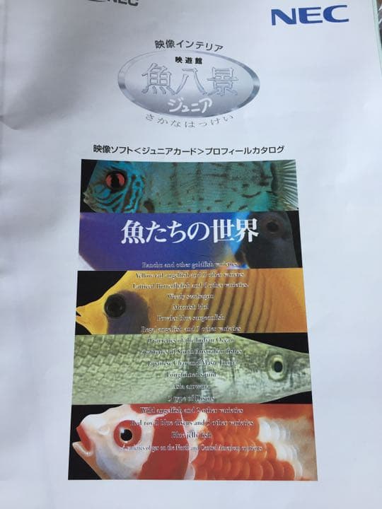 魚八景ジュニア