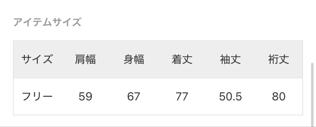 ジャーナルスタンダード　ライトオンズデニムシャツ