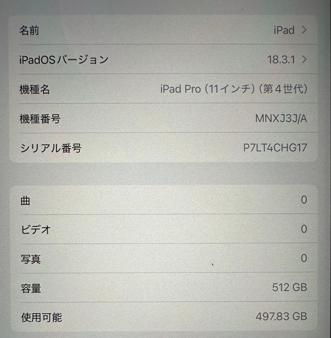 （水没品）Apple iPad Pro (11インチ) 第4世代 512GB