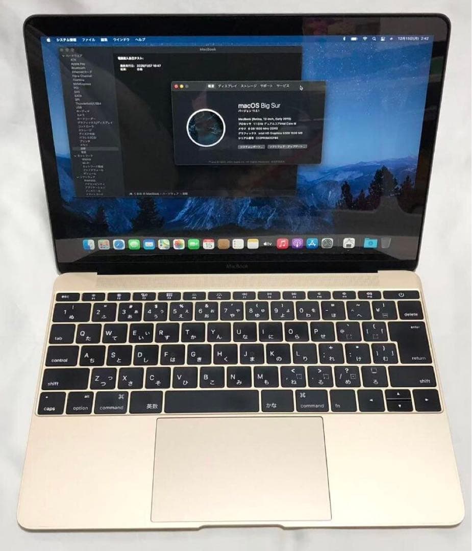 MacBook Retina12インチ Early 2015 8GB 256GB