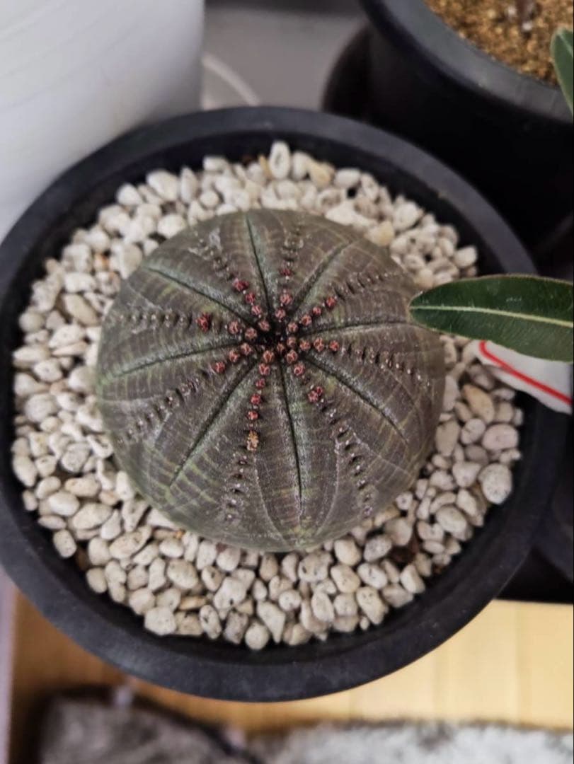 sin.723 キャンセルでも大丈夫です☺︎