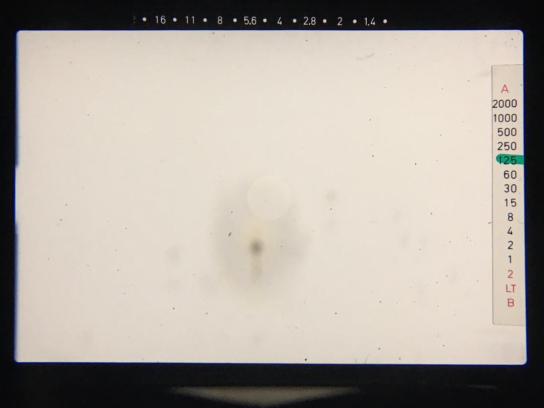 オリオン88　レッド Contax RTS SLR フィルムカメラ ボディ