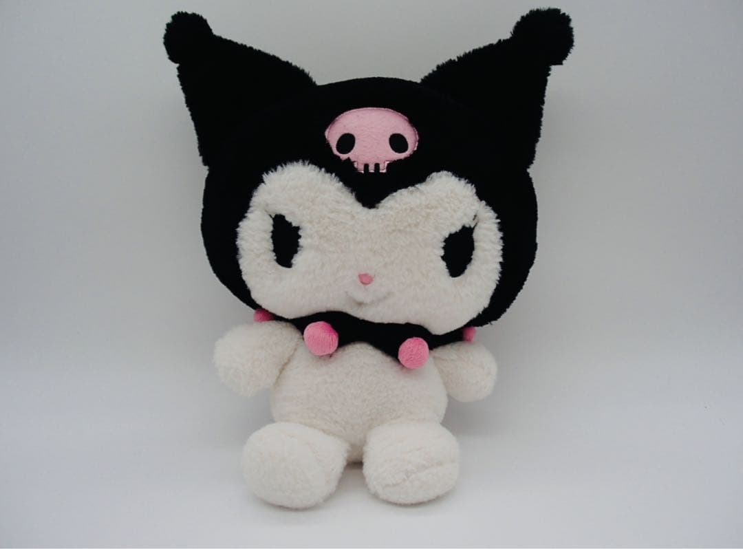 【希少】OLYMPUS STYLUS VH-515 オールド コンデジ 取説