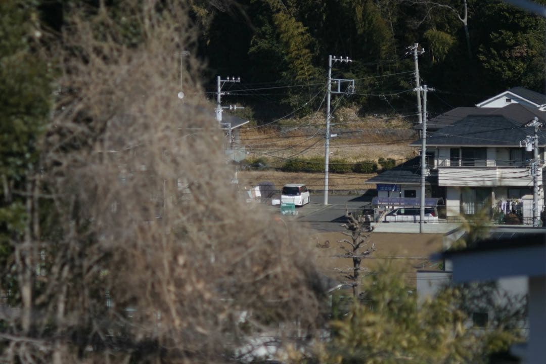 AUTO YASHINON-DX 135mm F2.8 M42（作例あり）