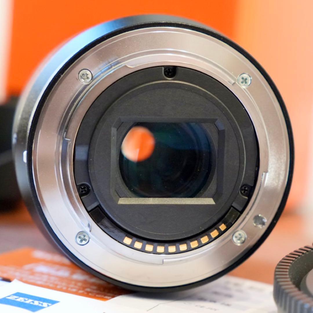 神レンズ！ZEISS α Eマウントズームレンズ SEL1670Z