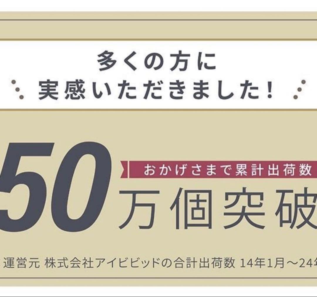 アイビビッド AIVIVID 光美顔器 リンカ スノーフラッシュDPL/NIR