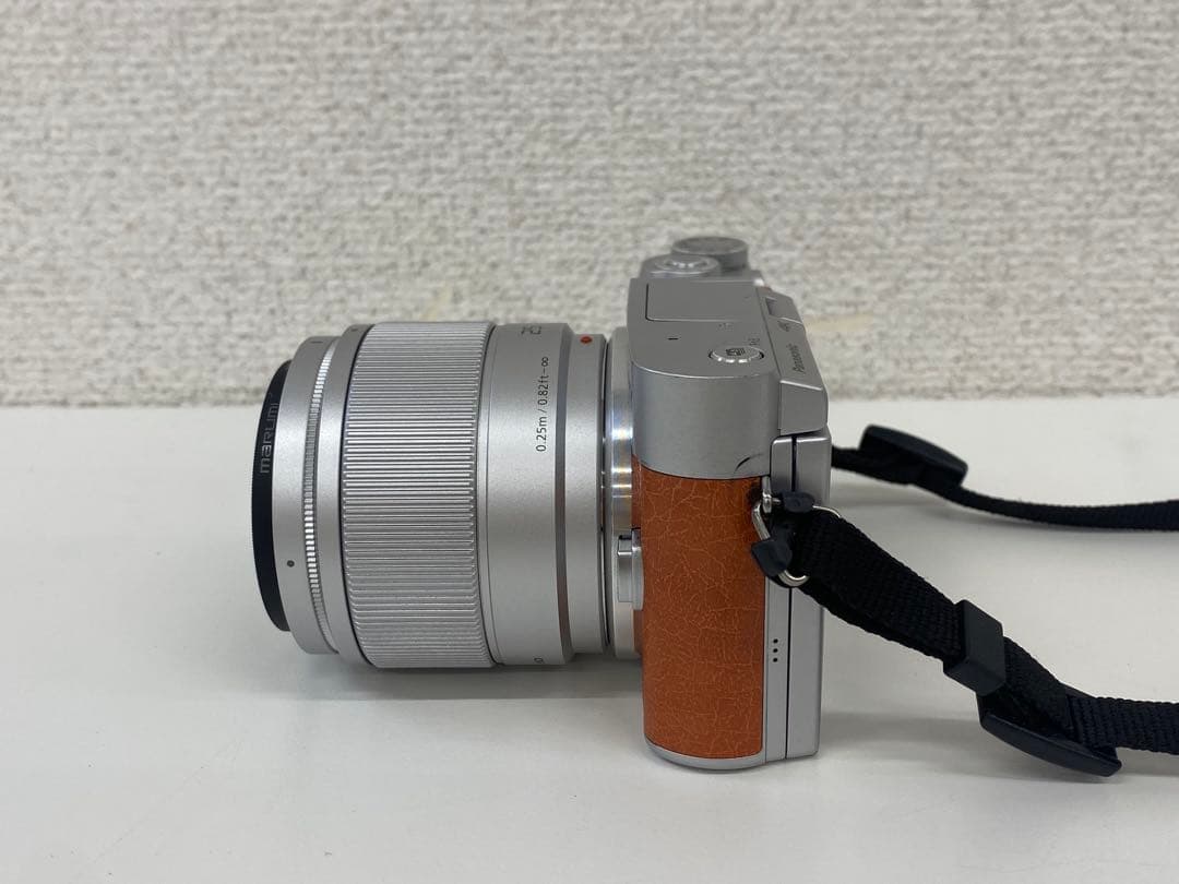 Panasonic パナソニック LUMIX DC-GF9W デジタルカメラ