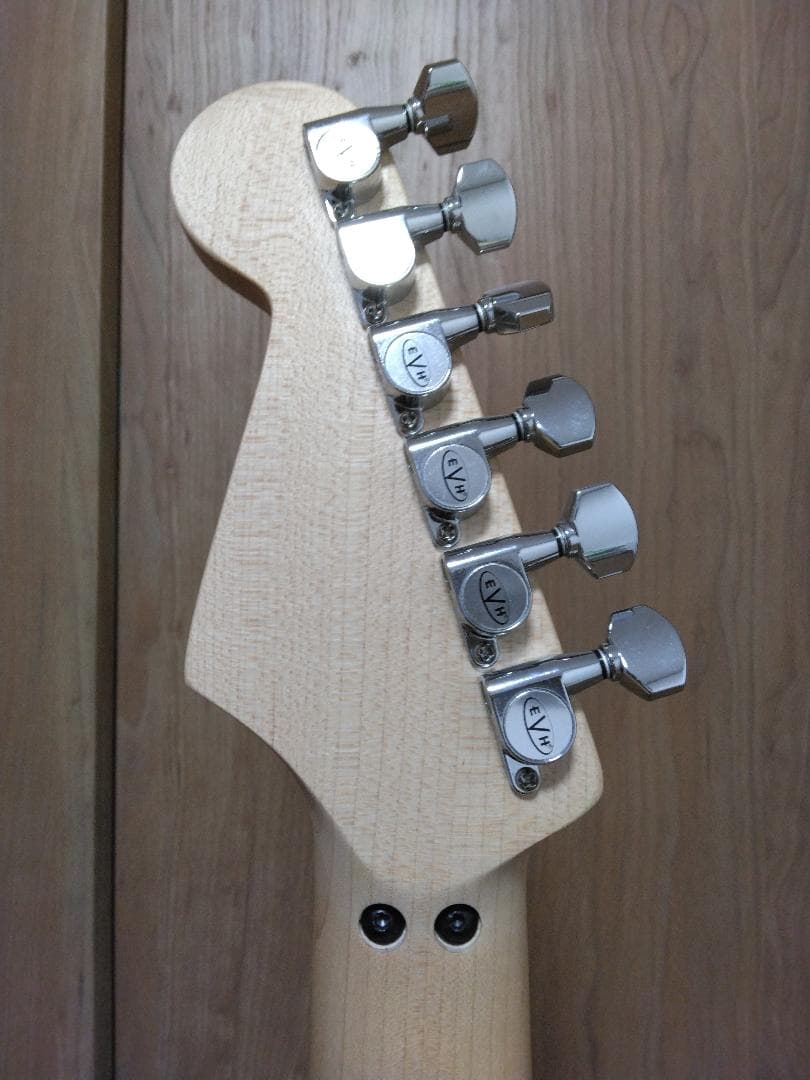 tatsu.tk.kamata　EVH Striped 白黒（ギターのみ）