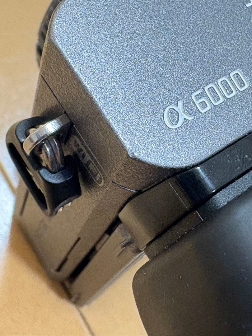 【Kohta Tsuchiya】SONY α6000 グラファイトグレー