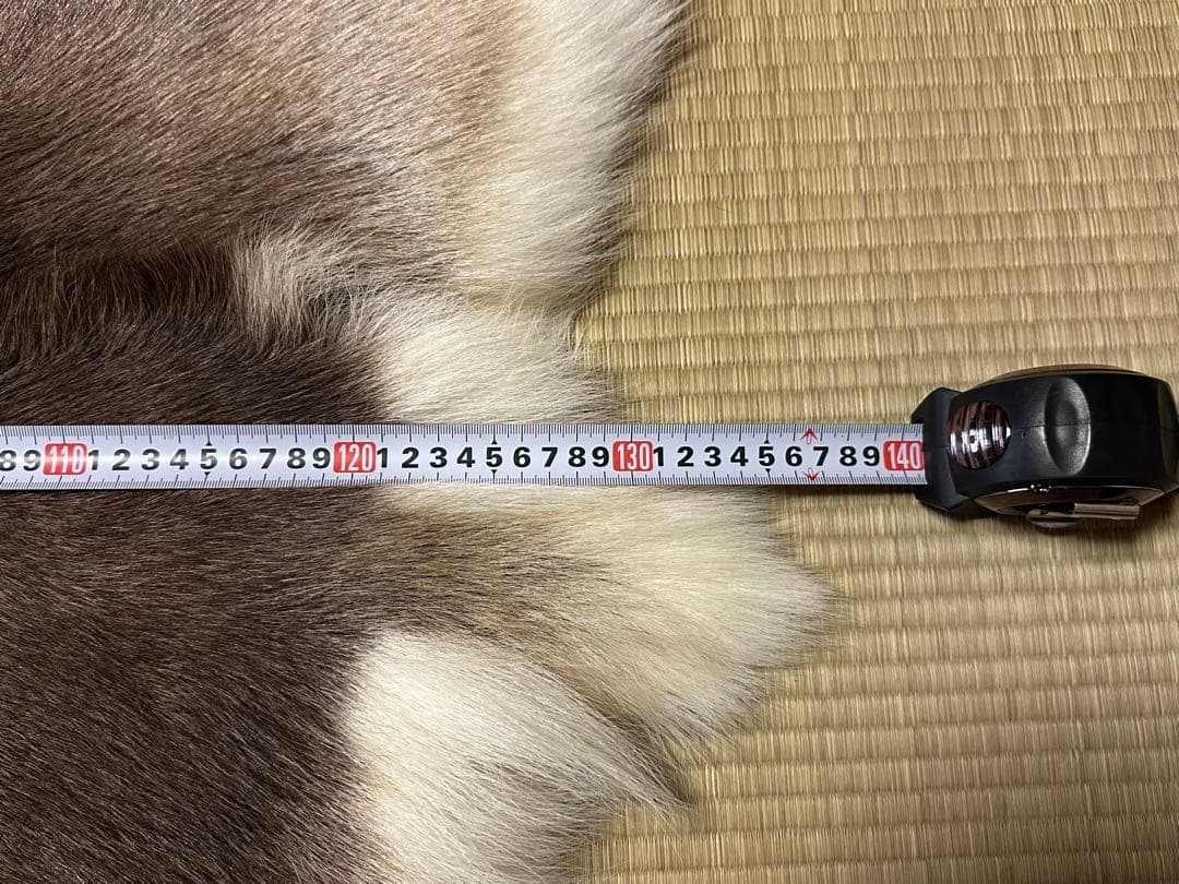 み*ん様 DALUM REINDEER トナカイ Lサイズ 毛皮