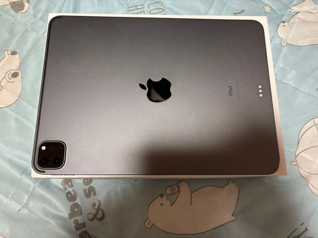 iPadPro11インチ 第2世代