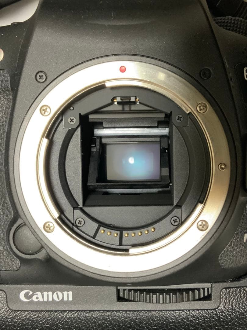 Canon EOS 7D Mark II バッテリグリップ付