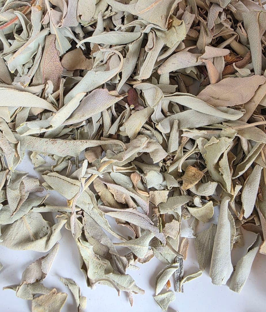 激安価格☆無農薬ホワイトセージ1kg箱入りお香浄化お徳用業務用