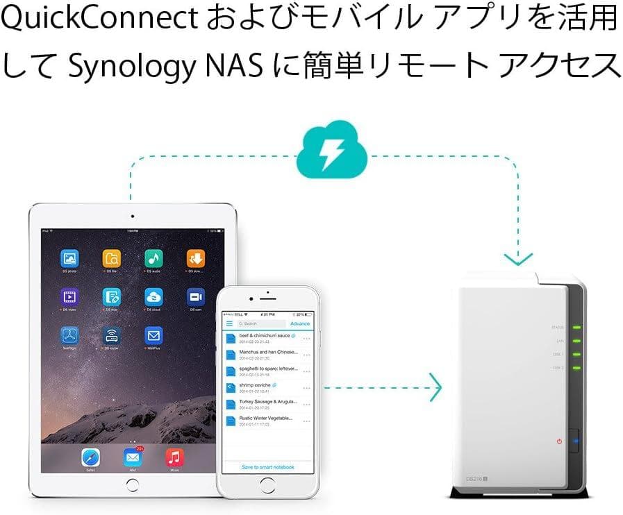 Synology NAS 2ベイ／シノロジー／デュアルコアCPU　SATA対応