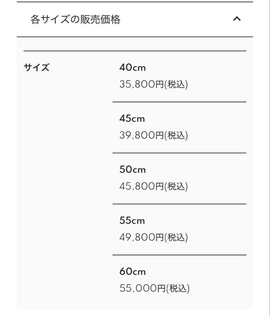 定価（55000円）AVALANCHE シルバーネックレス