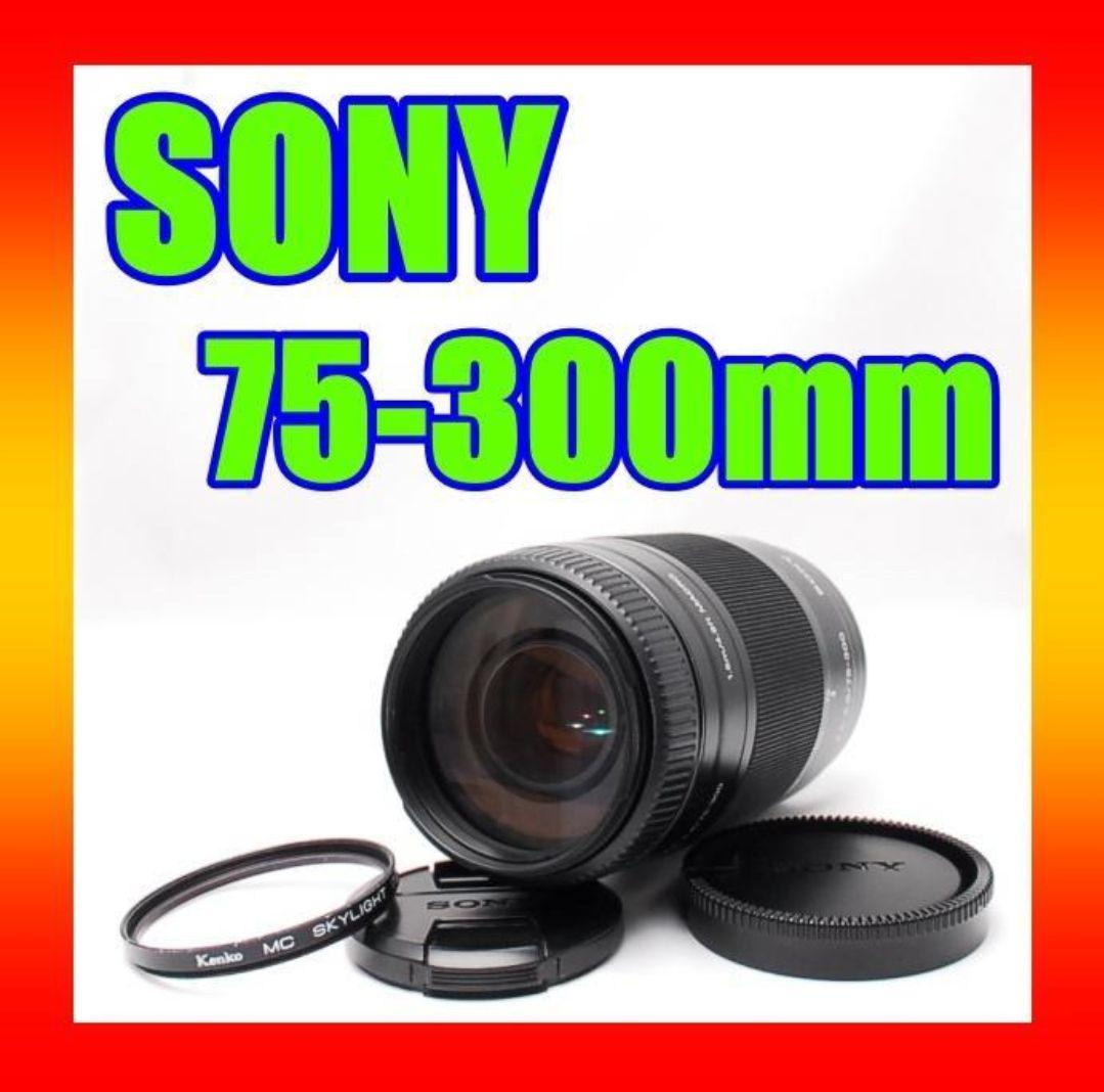 美品 SONY 純正 75-300mm 超望遠レンズ F4.5-5.6 ソニー