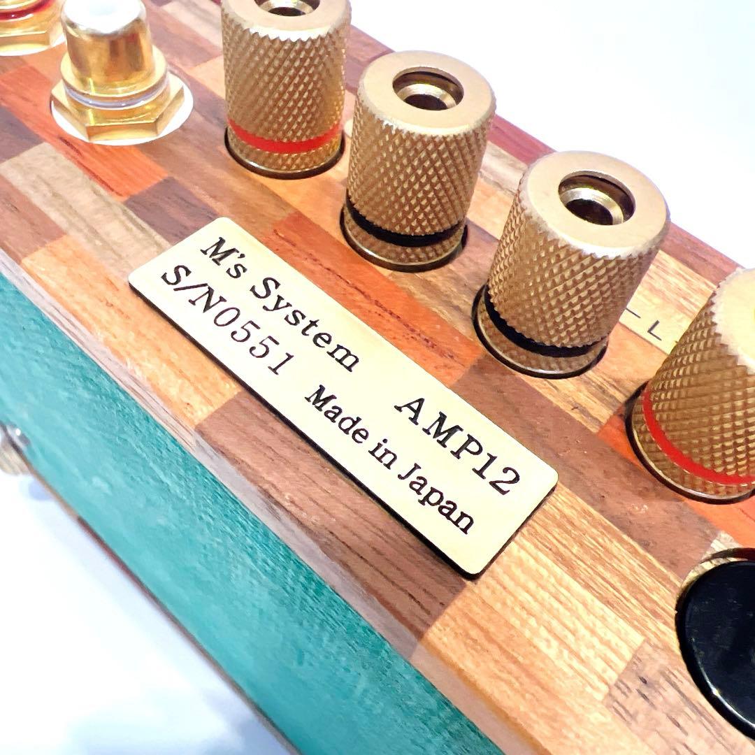 M's system AMP12 RS-0802 波動スピーカー　アンプ