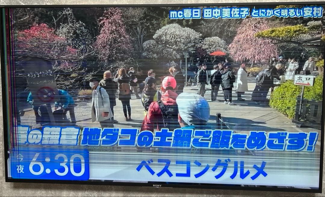 KJ-65X8500E 液晶割れ　ジャンク