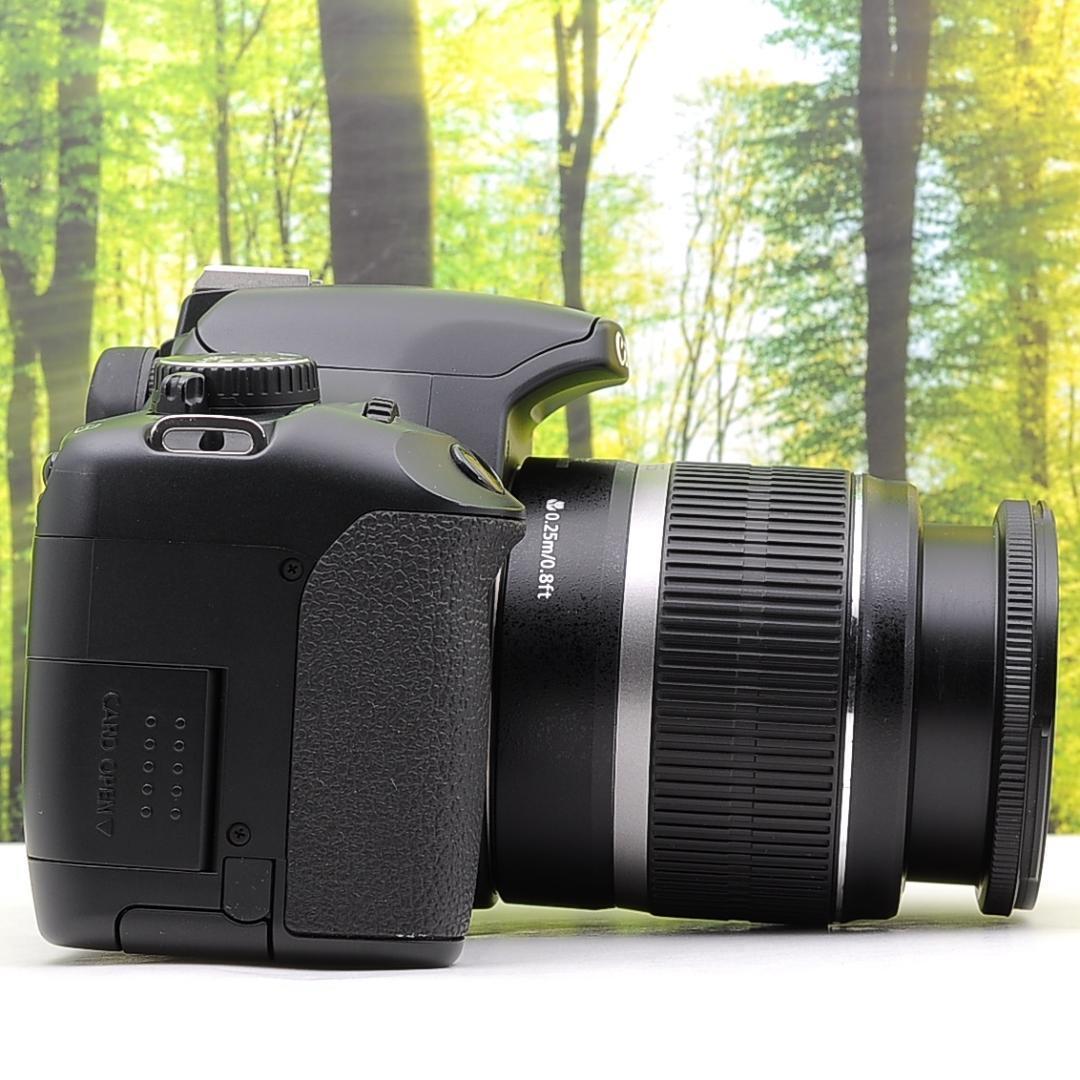 ショット数434枚！スマホ転送セット☆Canon Kiss X2 ★