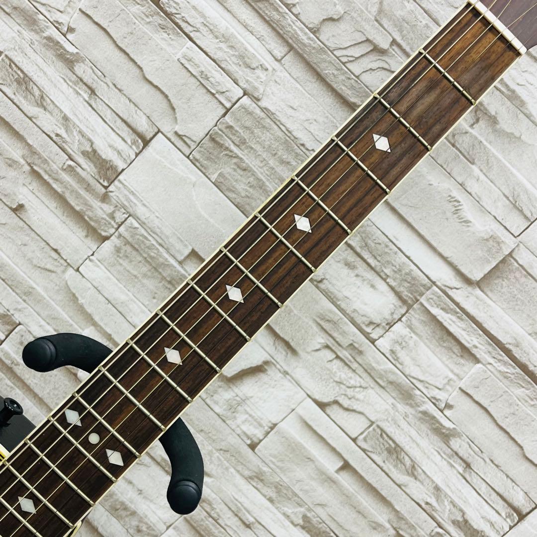 Aria アリア エレアコ AMB-35 GRS グリーンシェイド