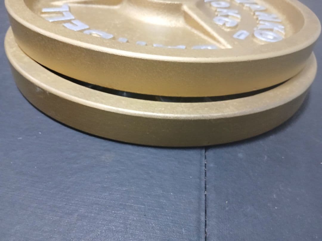 IVANKO(イヴァンコ) オリンピックプレート 10kg×2枚