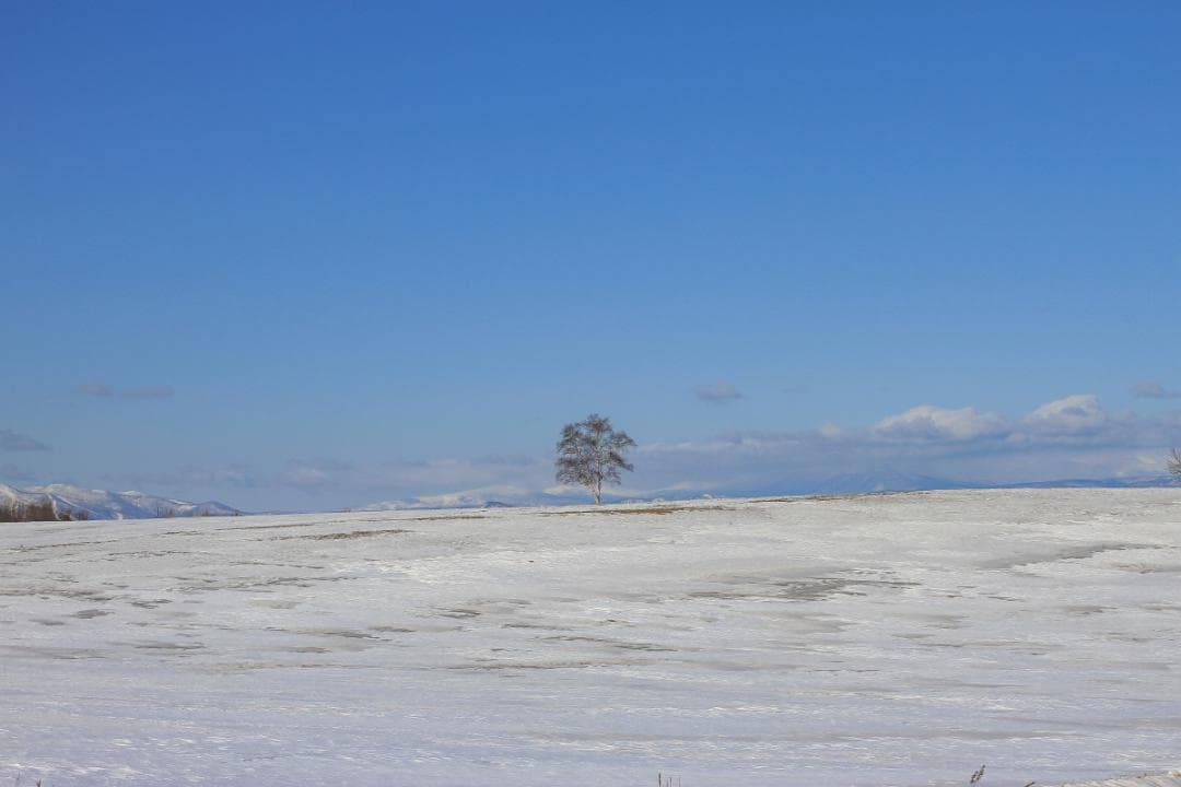 Canon EF50mm f1.4 USM 標準の名玉 超美品