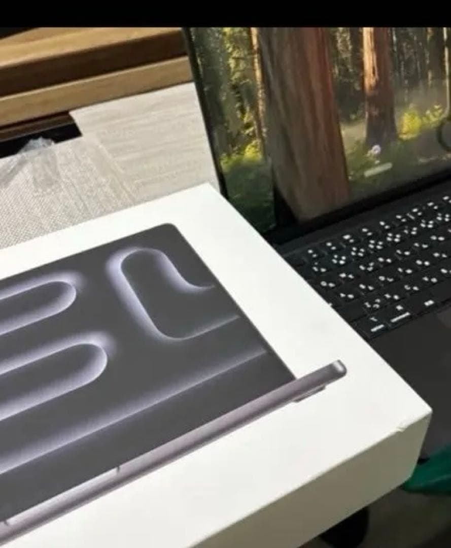 MacBook本体 Apple Mac book pro M4