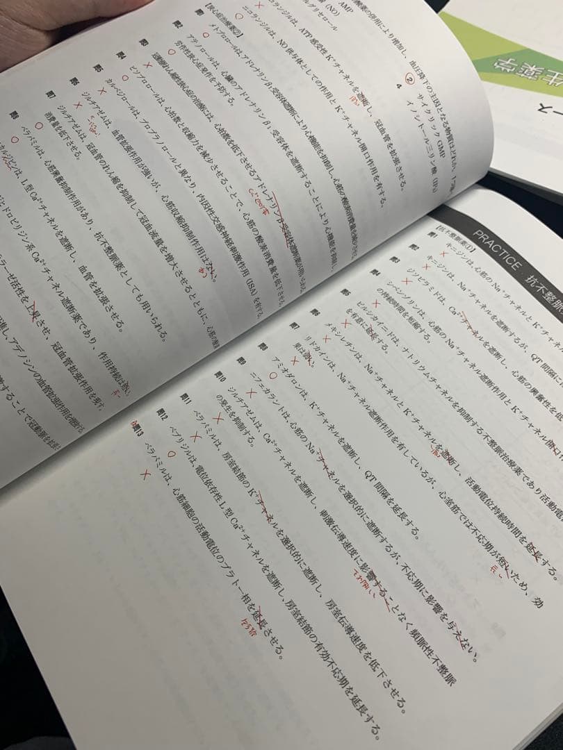 薬剤師国家試験　REC 2024年度版