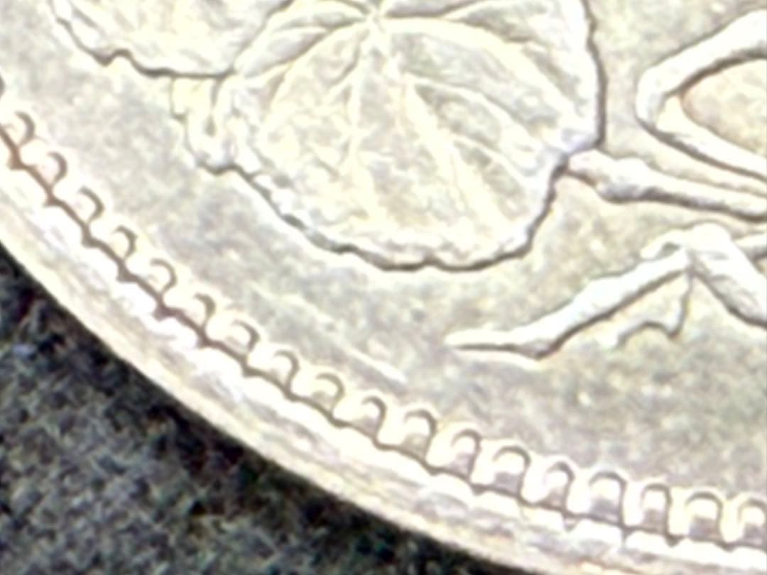 B*n様 【オークション】明治十年 明治10年 貿易銀 古銭 銀貨 希少 《T-