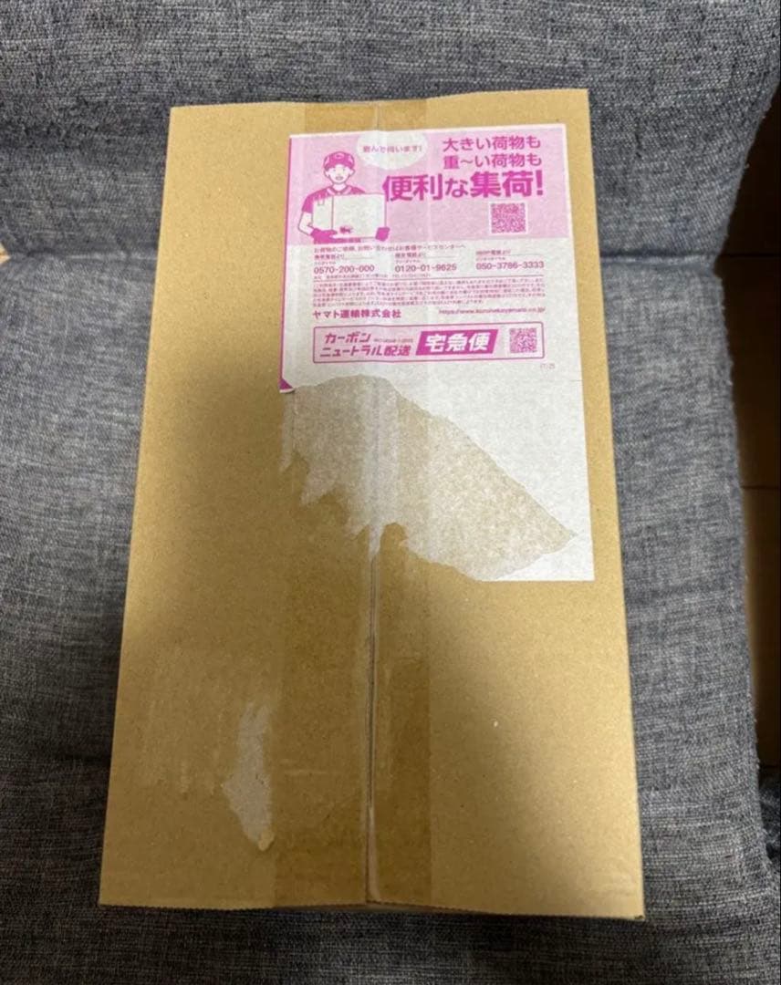 ポケモンセンタートウホク、イーブイ、チルタリスセット