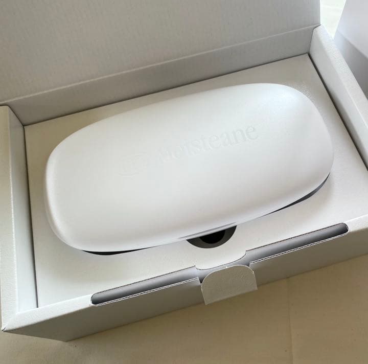 モイスティーヌⅣ 美顔器