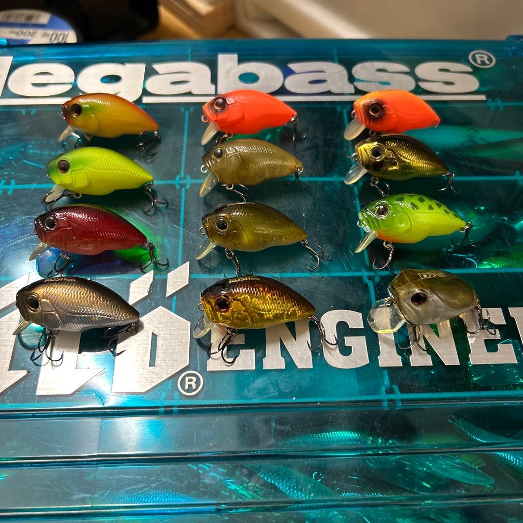 インキュベーター RUSH ラッシュ 60 DROP ドロップ 75